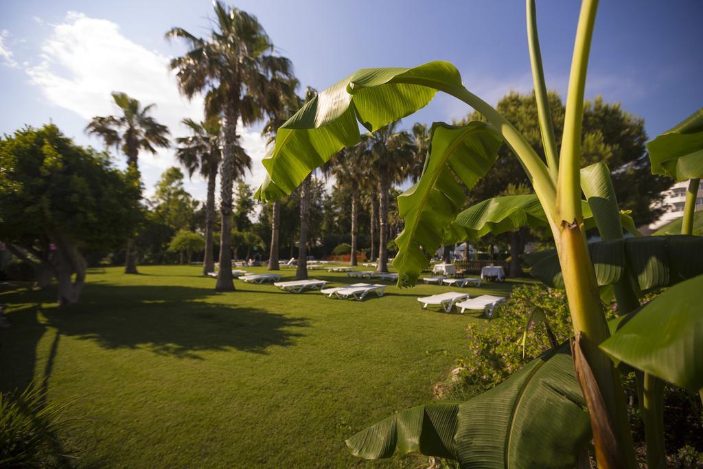 Hotel Terrace Beach Resort All Inclusive Side Exterior photo